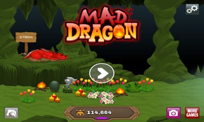 Mad Dragon poster