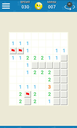 Minesweeper master screenshot 1