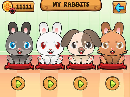 My virtual rabbit screenshot 3