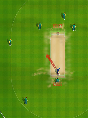 New star cricket screenshot 1