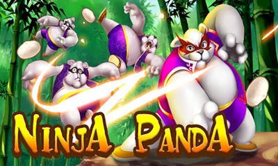 Ninja Panda poster