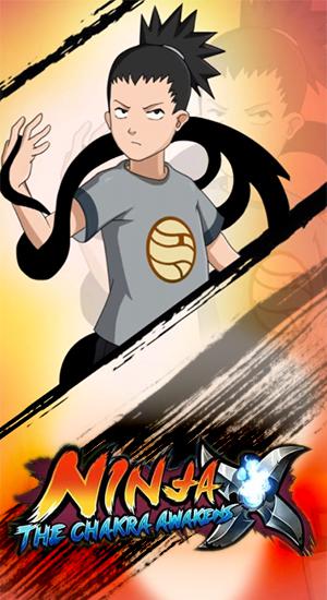 Ninja: The chakra awakens poster