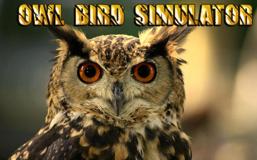 Owl bird simulator poster