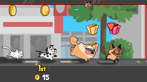 Pets race: Fun multiplayer racing with friends screenshot 3
