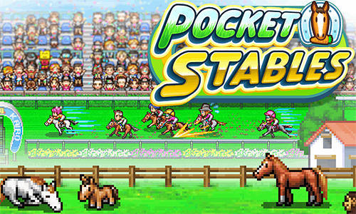 Pocket stables poster
