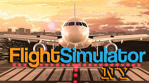 Pro flight simulator NY poster