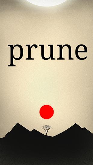 Prune poster
