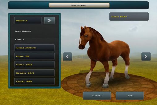 Race horses champions 2 screenshot 3