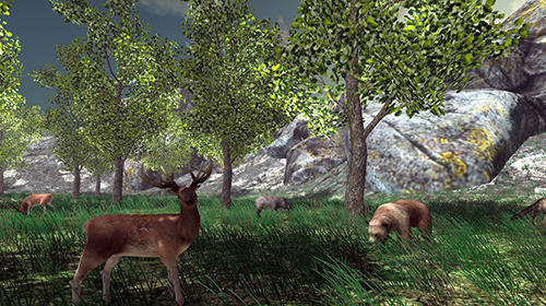 Real mushroom hunting simulator 3D screenshot 3