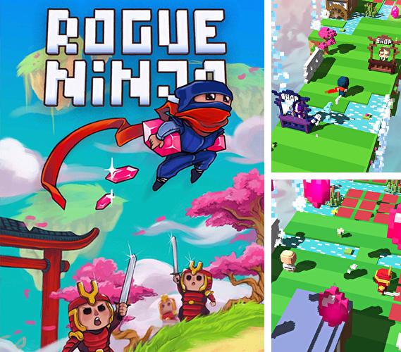Rogue Invader instal the new version for apple