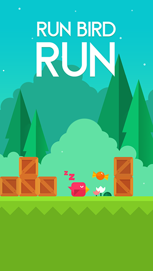 Run bird run poster