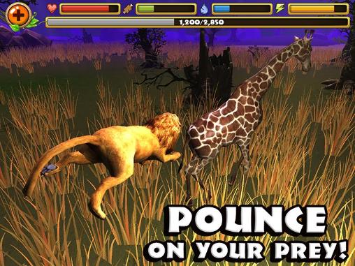 Safari simulator: Lion screenshot 3