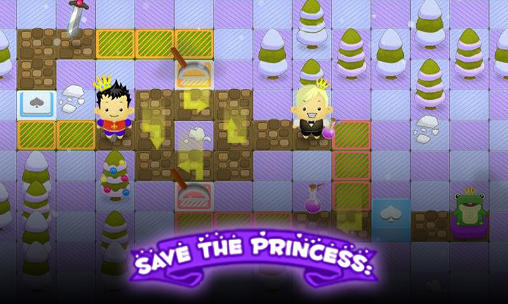 Save the princess poster