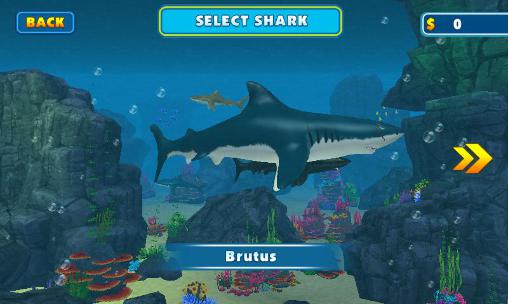 Shark attack simulator 3D screenshot 2