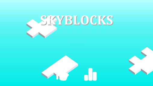 Skyblocks poster