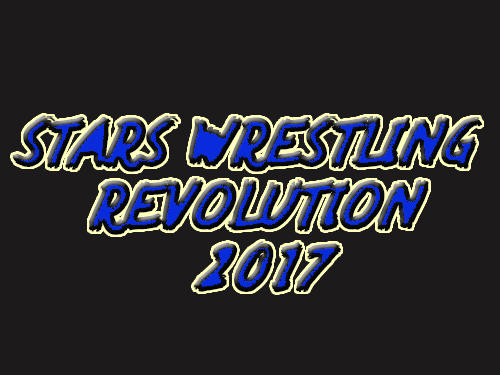 Stars wrestling revolution 2017: Real punch boxing poster