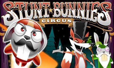 Stunt Bunnies Circus poster