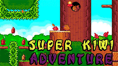 Super kiwi adventure poster