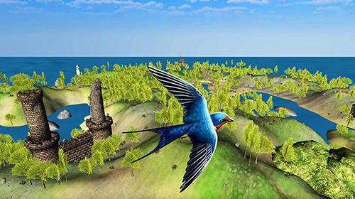 Swallow simulator: Flying bird adventure screenshot 3