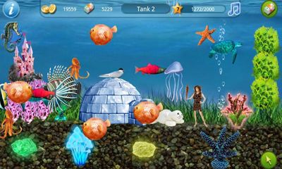 Tap Fish for Android - Download APK free