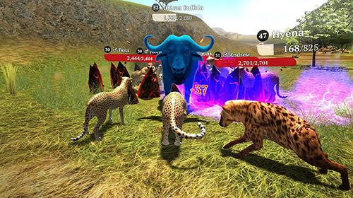 The cheetah: Online simulator screenshot 3