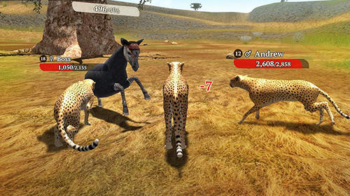The cheetah: Online simulator screenshot 4