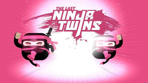 The last ninja twins poster