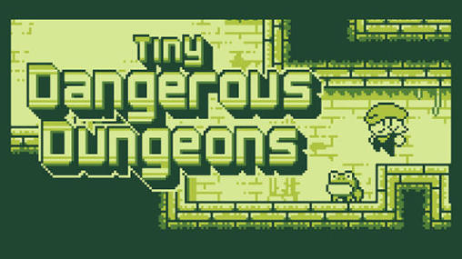 Tiny dangerous dungeons poster