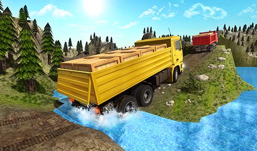 Truck driver extreme 3D screenshot 1