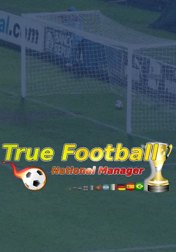 True football national manager poster