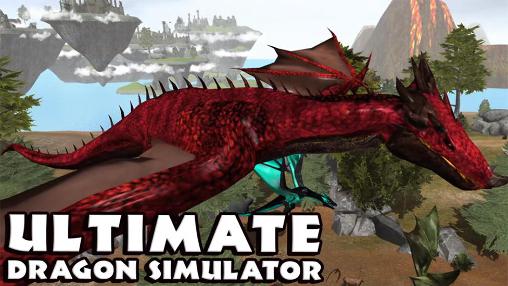 Ultimate dragon simulator poster