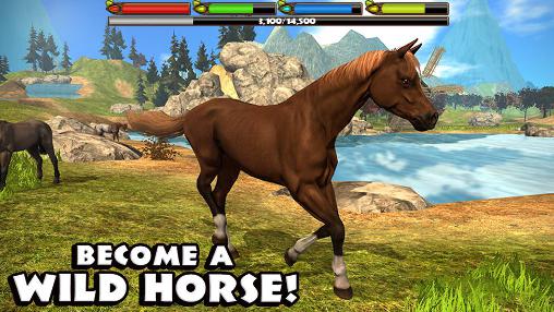 Pferdespiele Apps