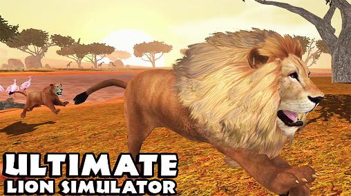 ultimate lion simulator games