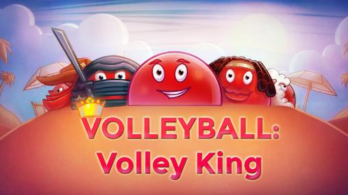 Volleyball: Volley king poster