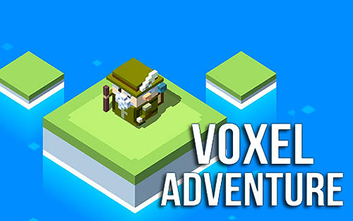 Voxel adventure poster