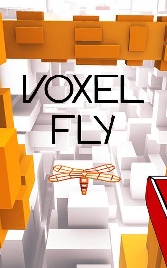 Voxel fly poster