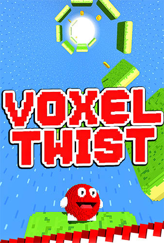 Voxel twist poster