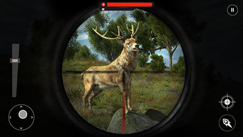 Wild animal jungle hunt: Forest sniper hunter screenshot 2