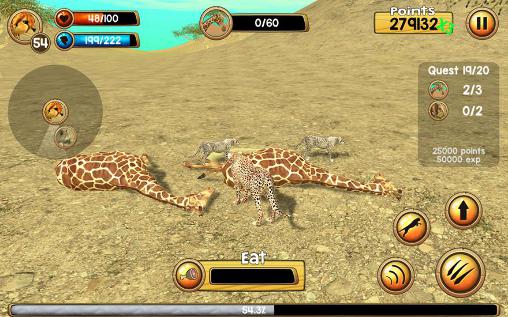 Wild cheetah sim 3D screenshot 3