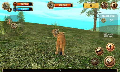 Wild cougar sim 3D screenshot 2