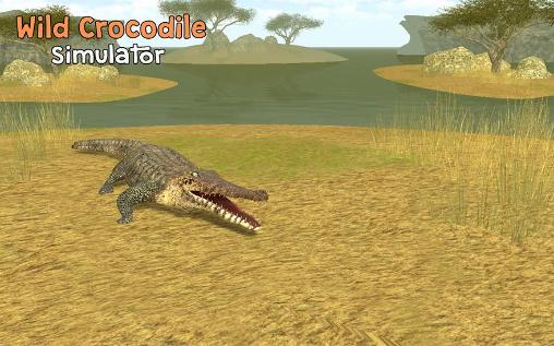Wild crocodile simulator 3D poster