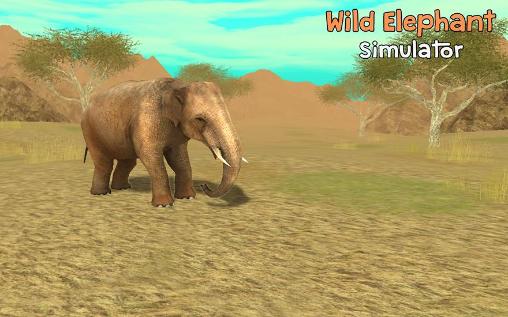 Wild elephant simulator 3D poster
