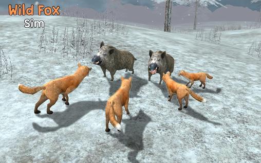 Wild fox sim 3D poster