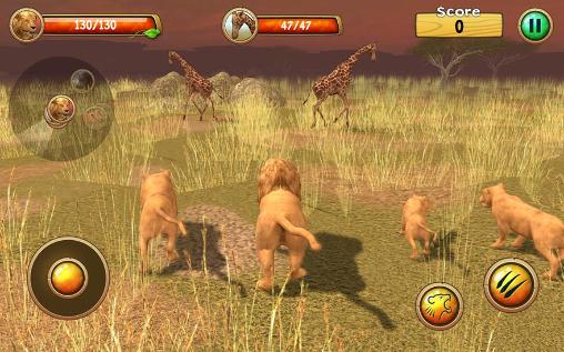 Wild lion simulator 3D screenshot 2