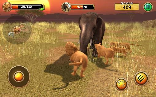 Wild lion simulator 3D screenshot 3
