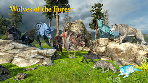 Wolves of the forest poster