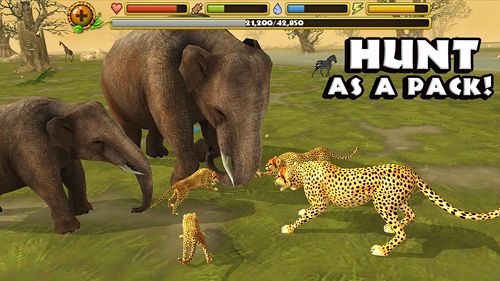 cheetah 3d games