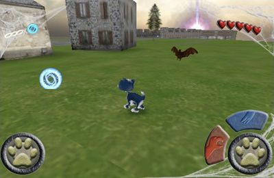 Scaredy Cat  3D  Deluxe iPhone game free Download ipa for 