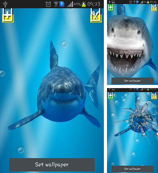 Angry shark: Cracked screen - бесплатно скачать живые обои на Андроид телефон или планшет.