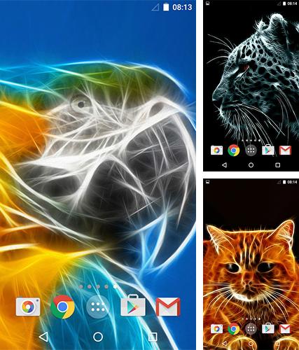 Kostenloses Android-Live Wallpaper Tiere 3D. Vollversion der Android-apk-App Animals 3D by MISVI Apps for Your Phone für Tablets und Telefone.